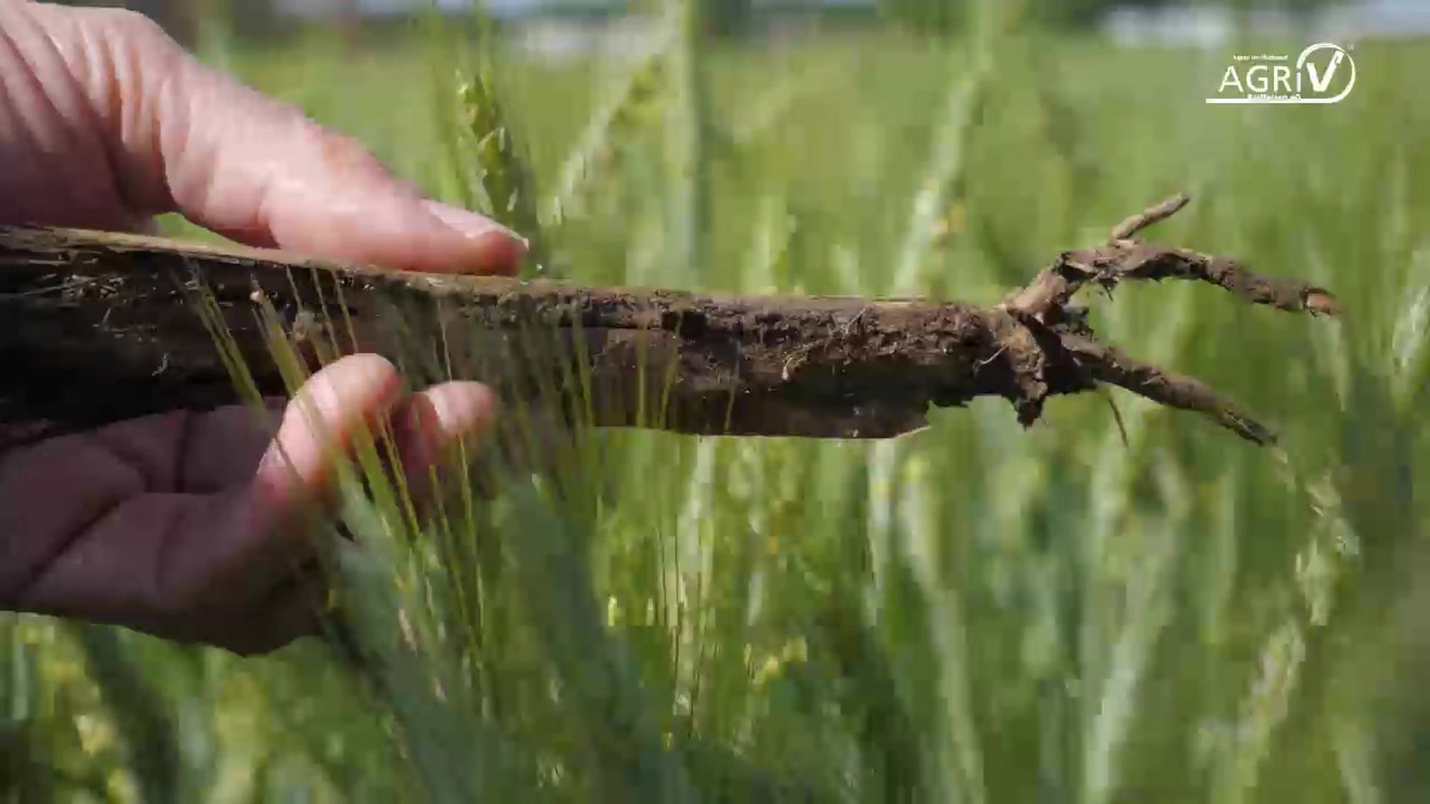 Landwirte aufgepasst! Infos vom Pflanzenbauteam